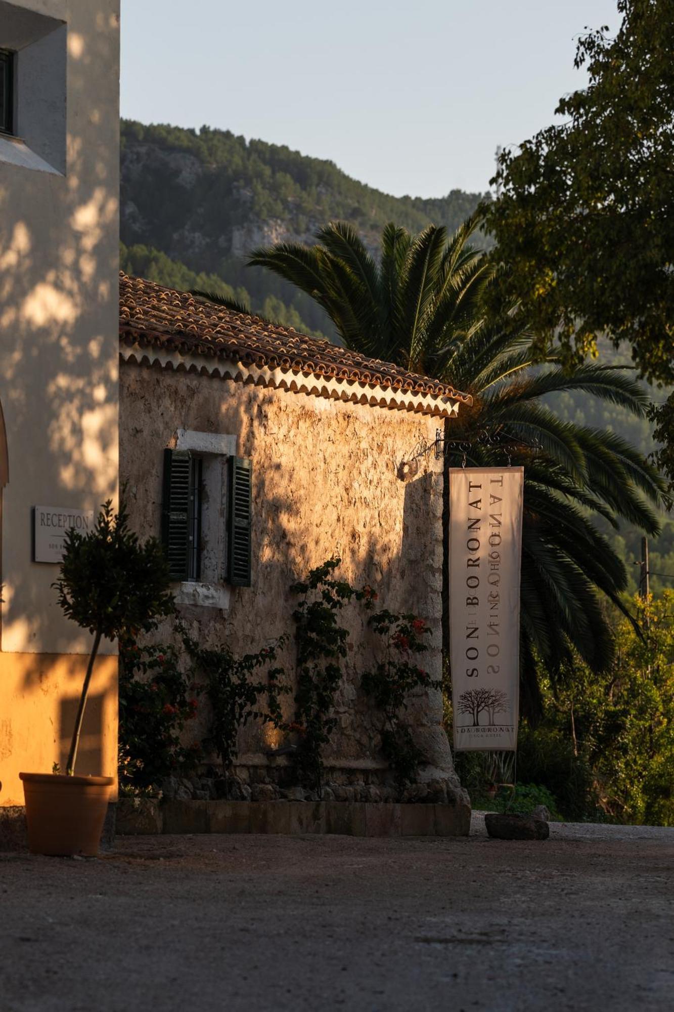 Agroturismo Son Boronat Calvià Exterior foto