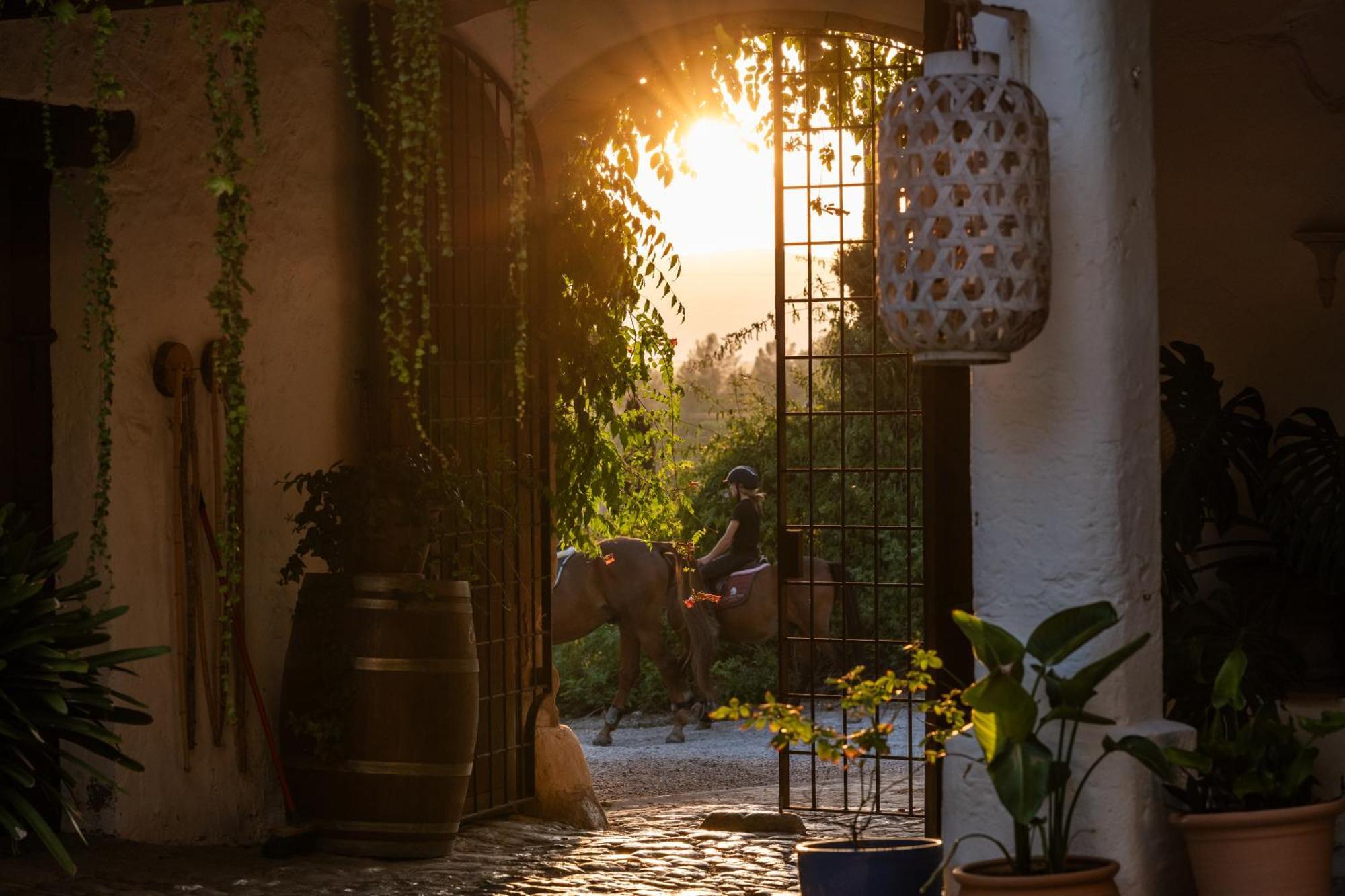 Agroturismo Son Boronat Calvià Exterior foto